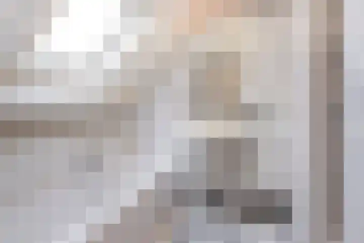 IJsvogel 6 Sliedrecht thumbnail 23