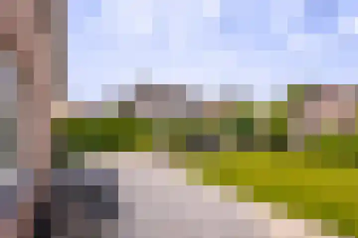 IJsvogel 6 Sliedrecht thumbnail 26