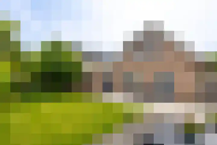 IJsvogel 6 Sliedrecht thumbnail 28
