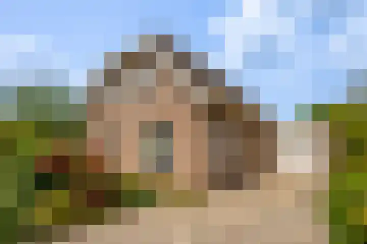 IJsvogel 6 Sliedrecht thumbnail 29