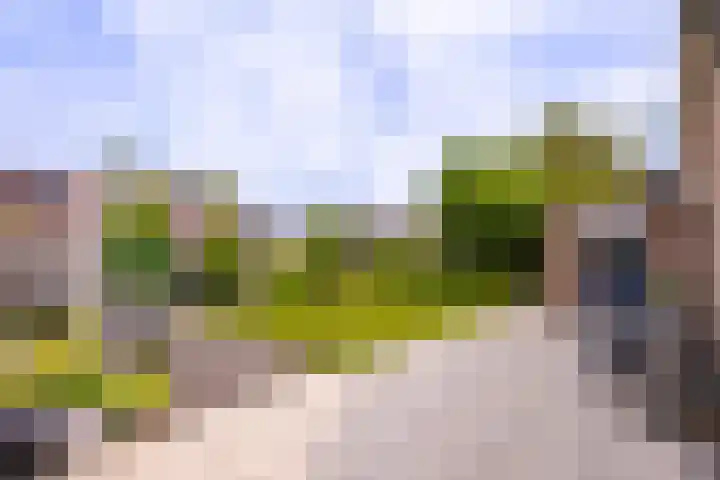 IJsvogel 6 Sliedrecht foto 3
