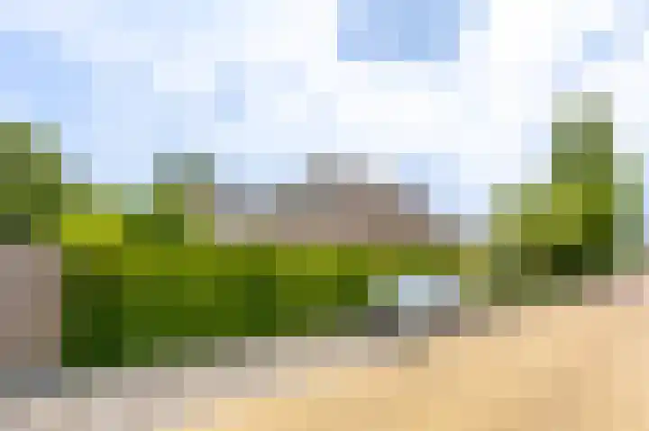 IJsvogel 6 Sliedrecht thumbnail 32
