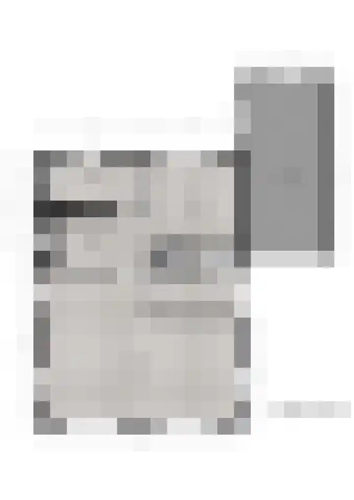 IJsvogel 6 Sliedrecht thumbnail 33