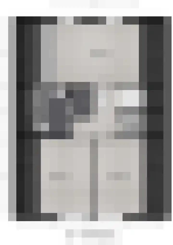 IJsvogel 6 Sliedrecht thumbnail 34