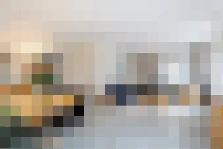 IJsvogel 6 Sliedrecht thumbnail 4