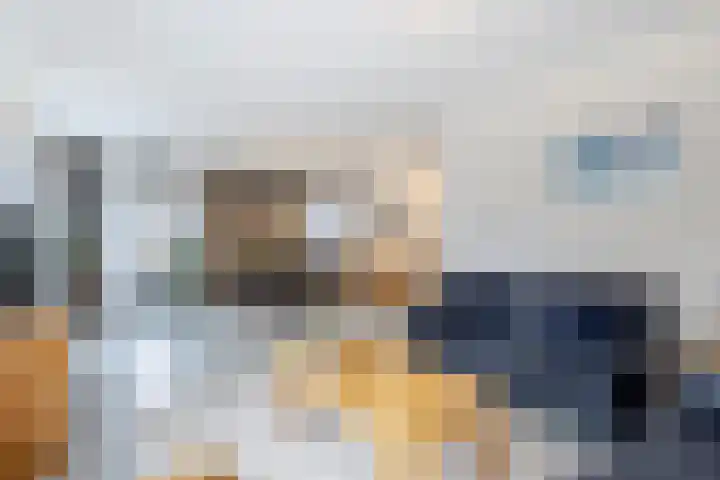 IJsvogel 6 Sliedrecht thumbnail 6