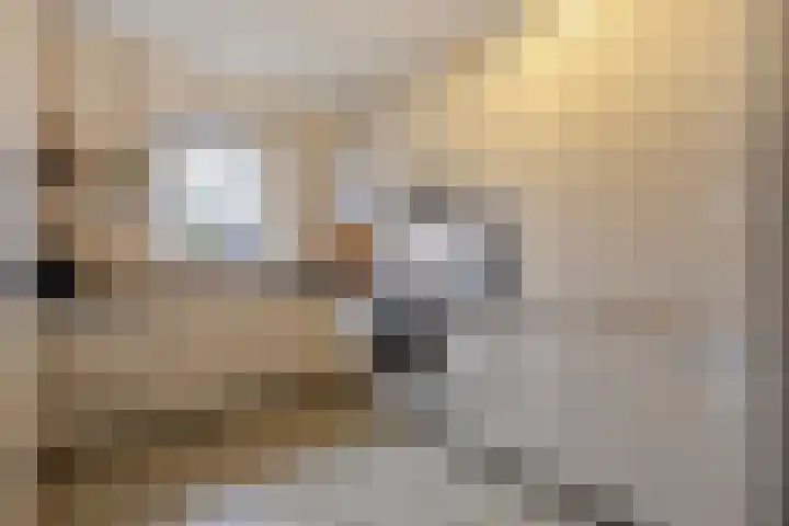 IJsvogel 6 Sliedrecht thumbnail 8