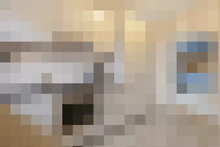 IJsvogel 6 Sliedrecht thumbnail 9