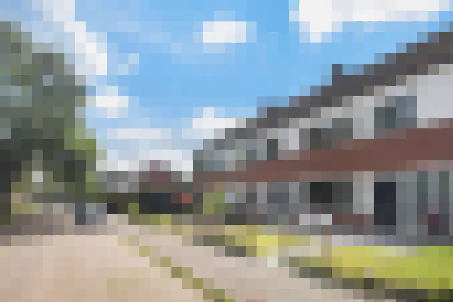 IJsvogel 64 dans Dokkum