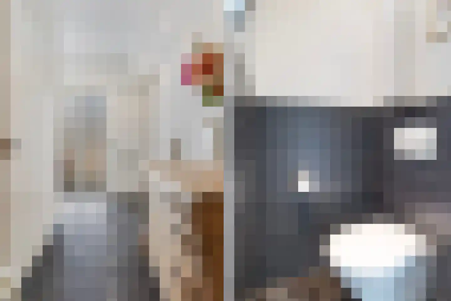 IJsvogel 64 Dokkum thumbnail 10
