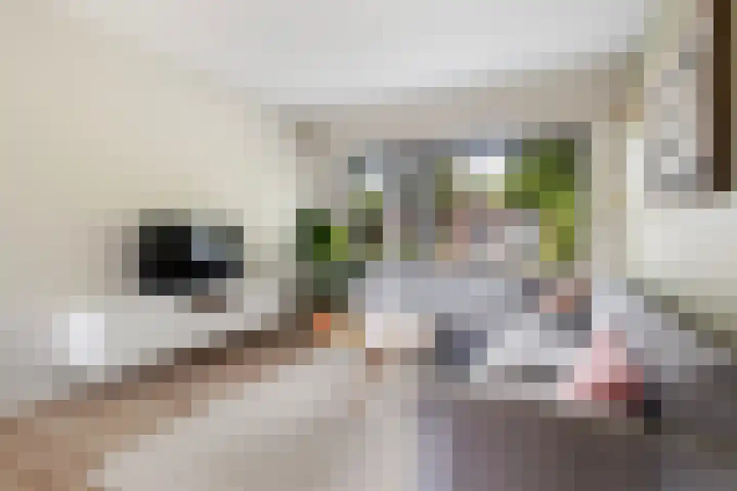 IJsvogel 64 Dokkum thumbnail 12