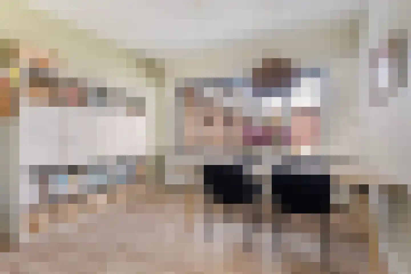 IJsvogel 64 Dokkum thumbnail 14
