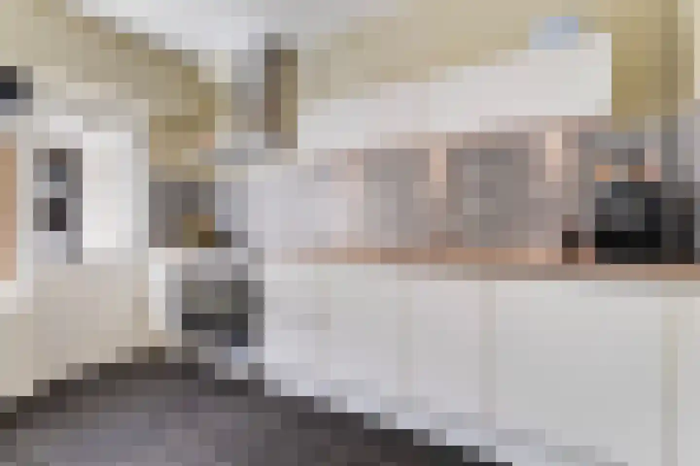 IJsvogel 64 Dokkum thumbnail 16