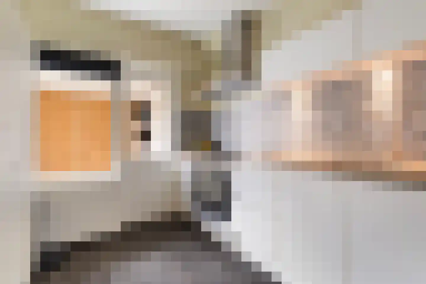 IJsvogel 64 Dokkum thumbnail 18