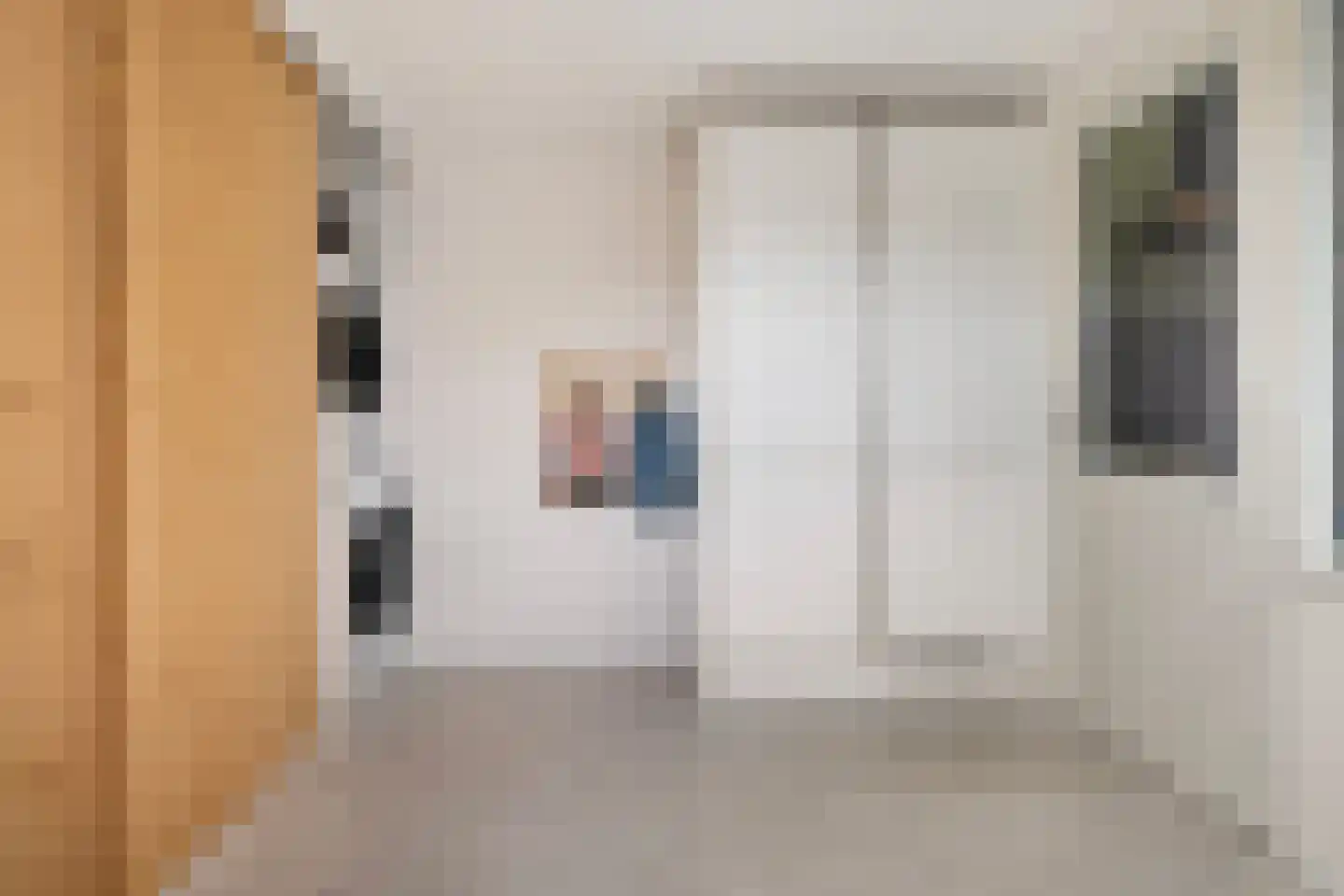 IJsvogel 64 Dokkum thumbnail 19
