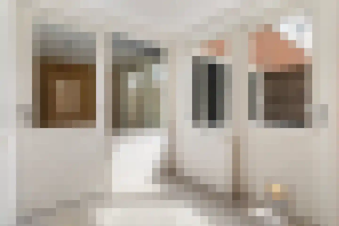 IJsvogel 64 Dokkum thumbnail 20