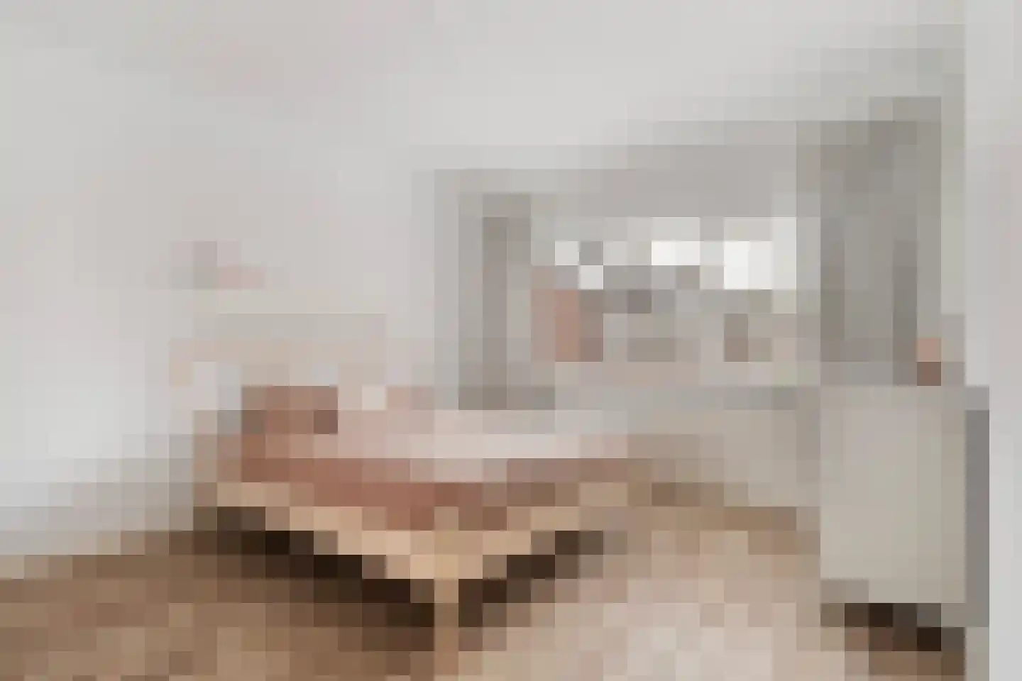 IJsvogel 64 Dokkum thumbnail 22