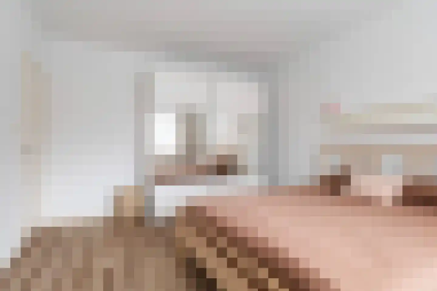 IJsvogel 64 Dokkum thumbnail 23