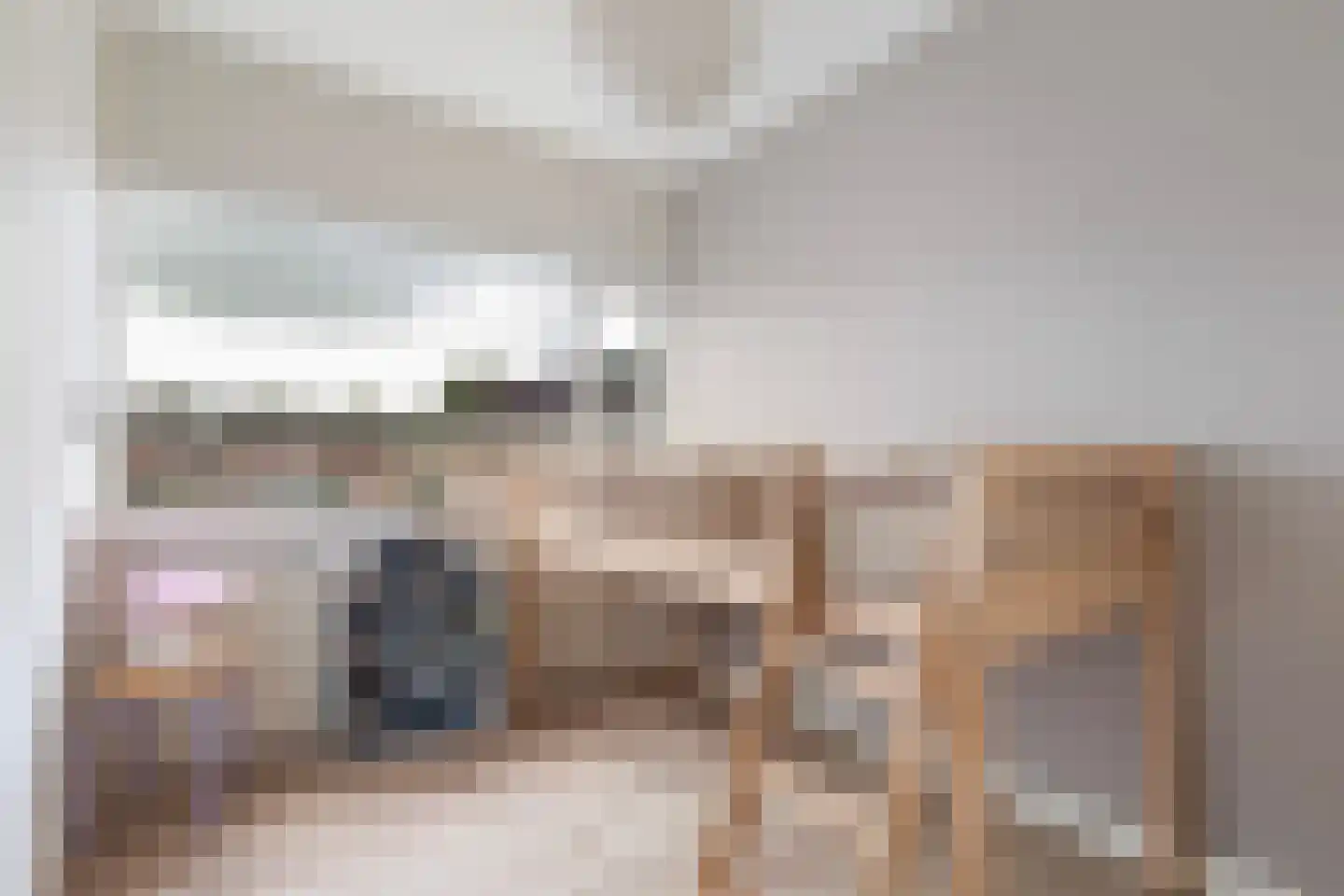IJsvogel 64 Dokkum thumbnail 24