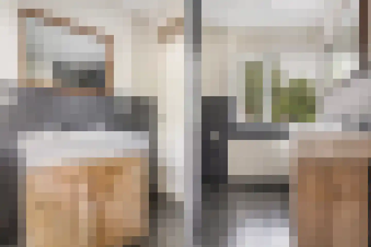 IJsvogel 64 Dokkum thumbnail 26