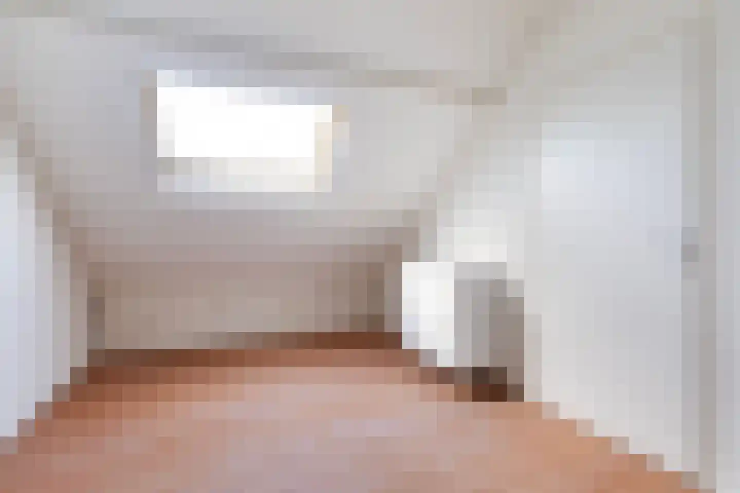 IJsvogel 64 Dokkum thumbnail 37