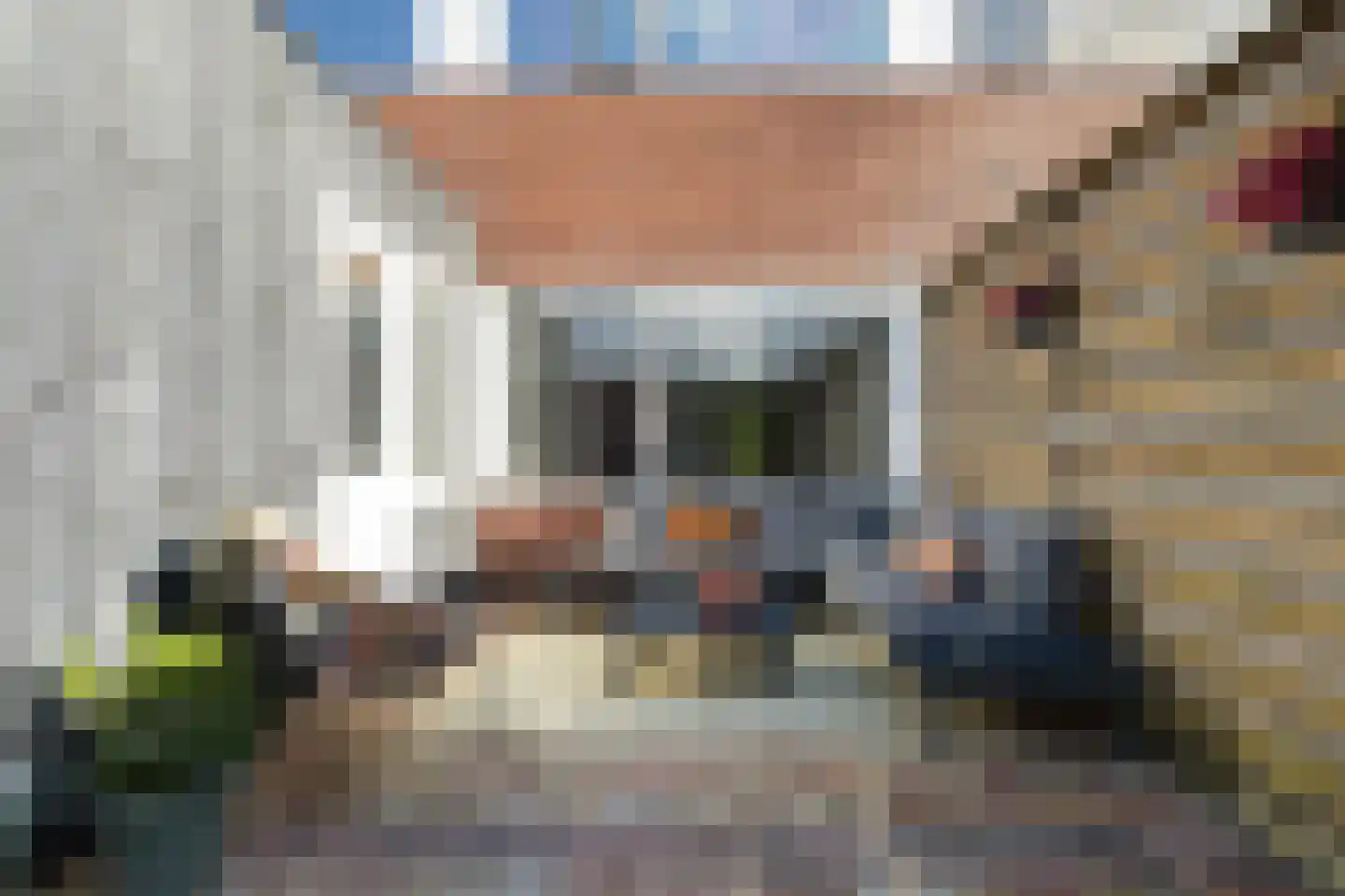 IJsvogel 64 Dokkum thumbnail 39