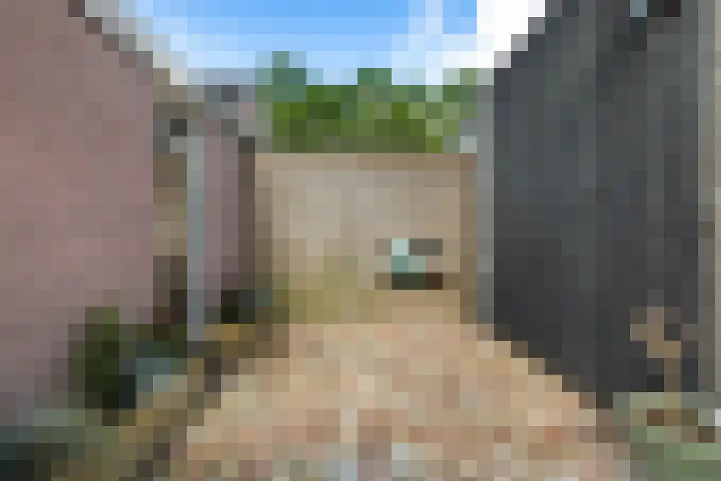 IJsvogel 64 Dokkum thumbnail 42