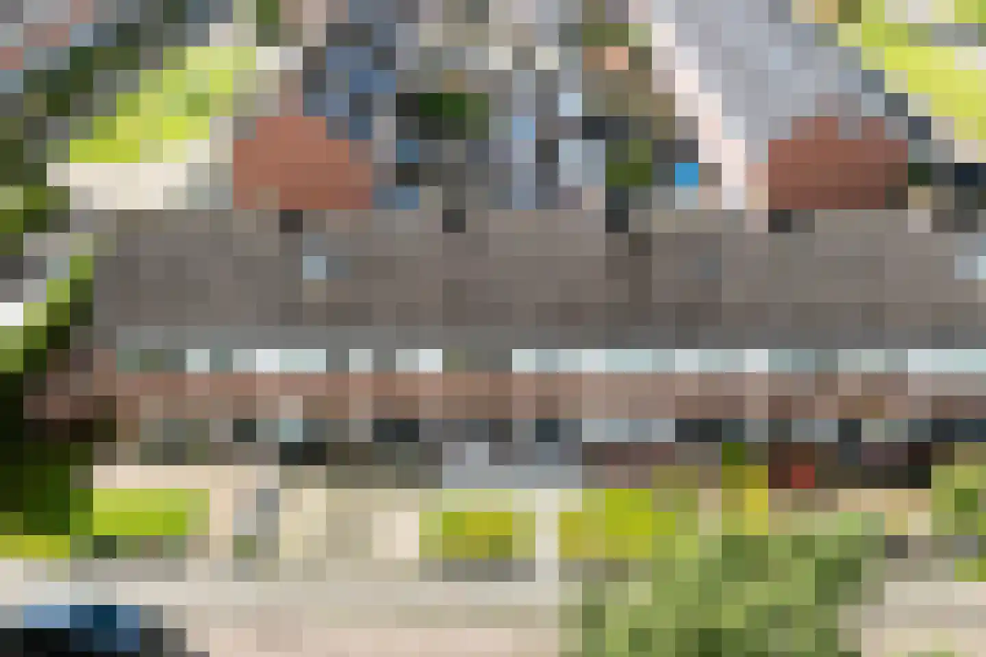 IJsvogel 64 Dokkum thumbnail 46