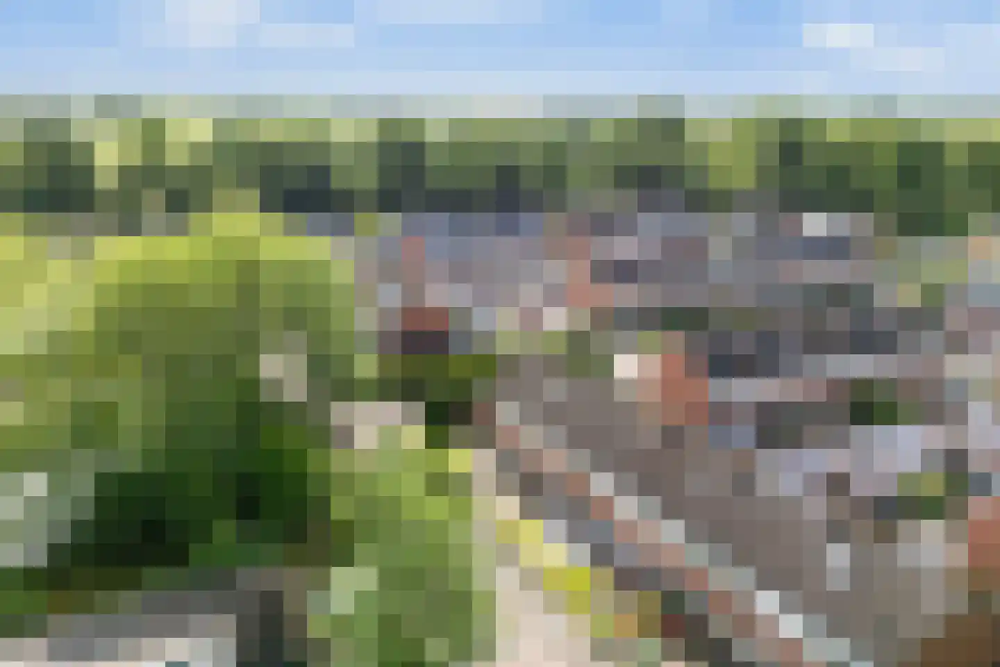IJsvogel 64 Dokkum thumbnail 47