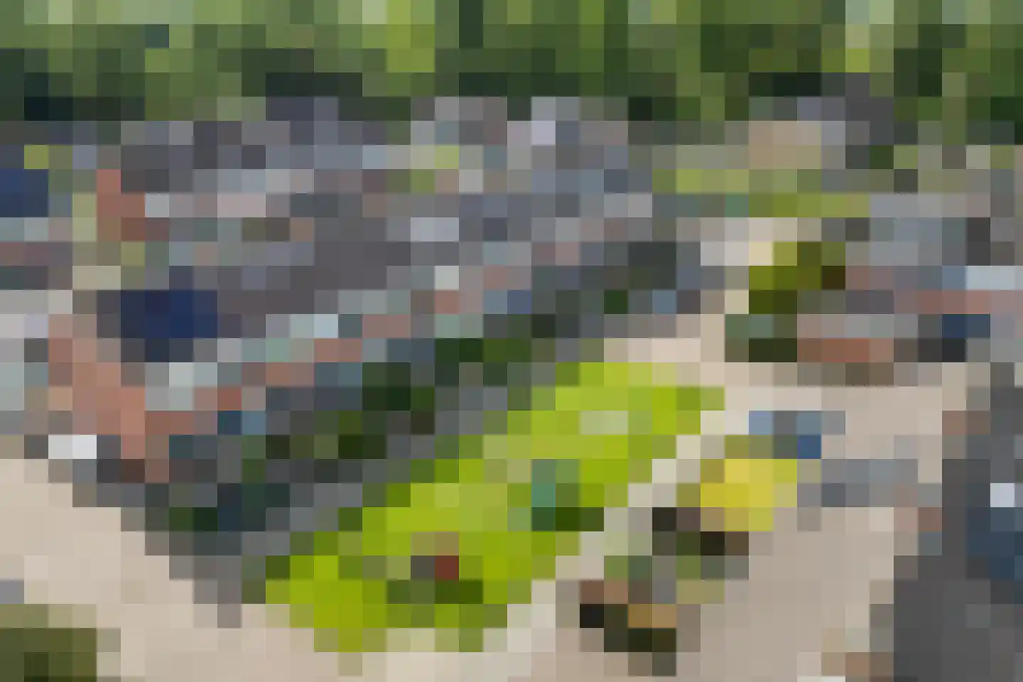 IJsvogel 64 Dokkum thumbnail 48