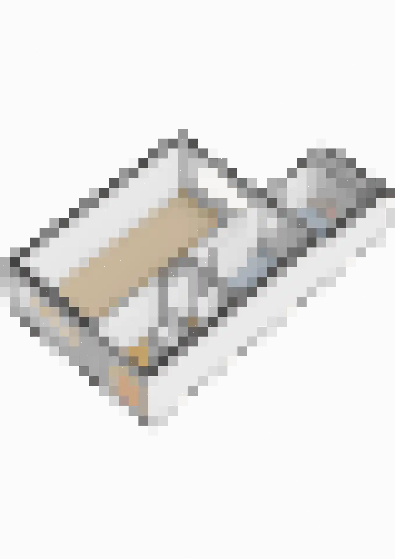 IJsvogel 64 Dokkum thumbnail 52