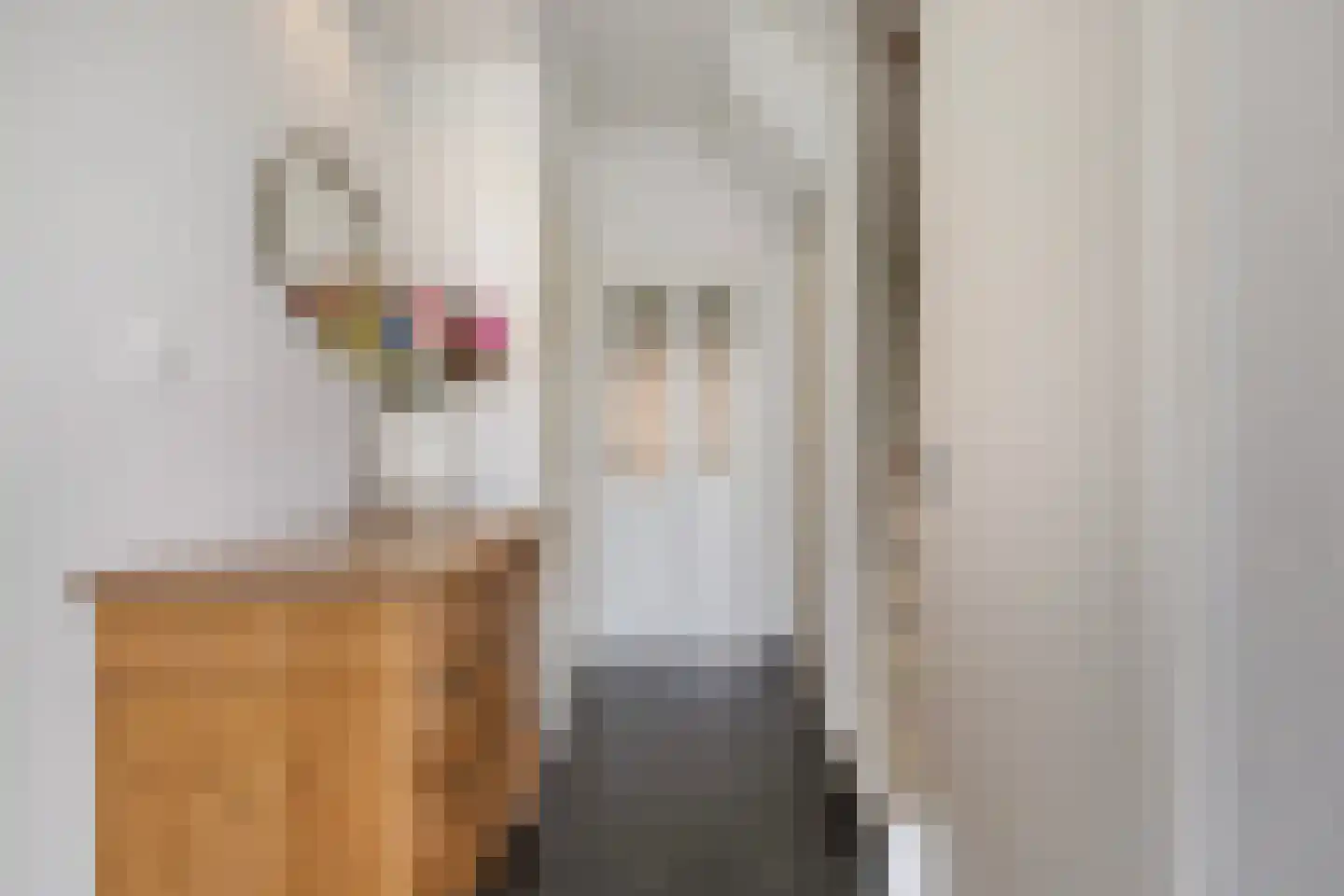 IJsvogel 64 Dokkum thumbnail 8