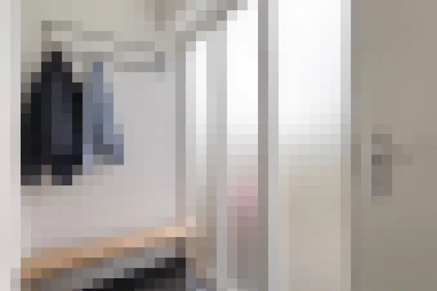 IJsvogel 64 Dokkum thumbnail 9