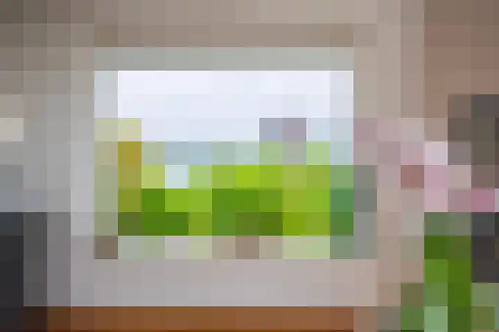 IJsvogel 65 Lathum thumbnail 10