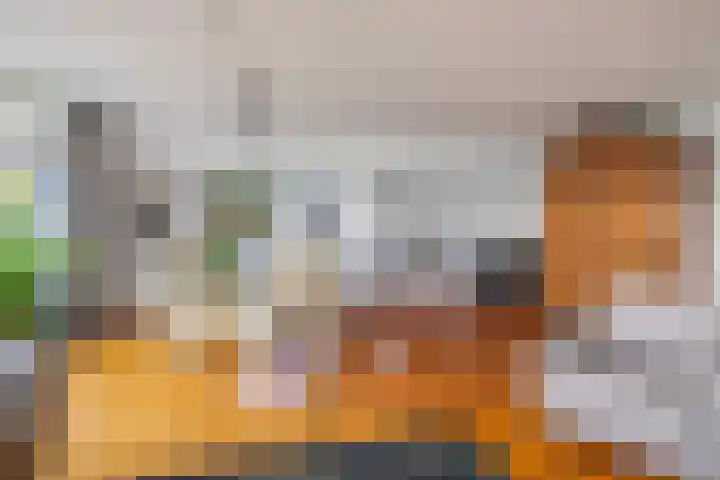 IJsvogel 65 Lathum thumbnail 13