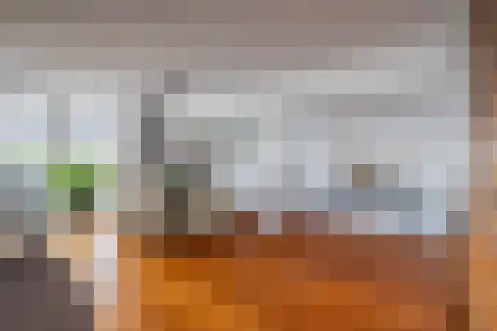 IJsvogel 65 Lathum thumbnail 14