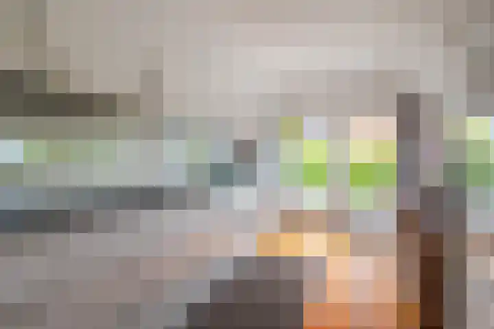 IJsvogel 65 Lathum thumbnail 15