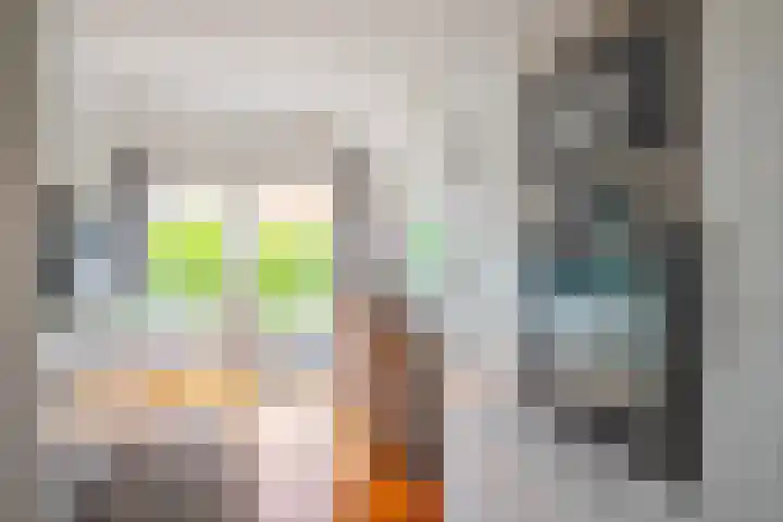 IJsvogel 65 Lathum thumbnail 16