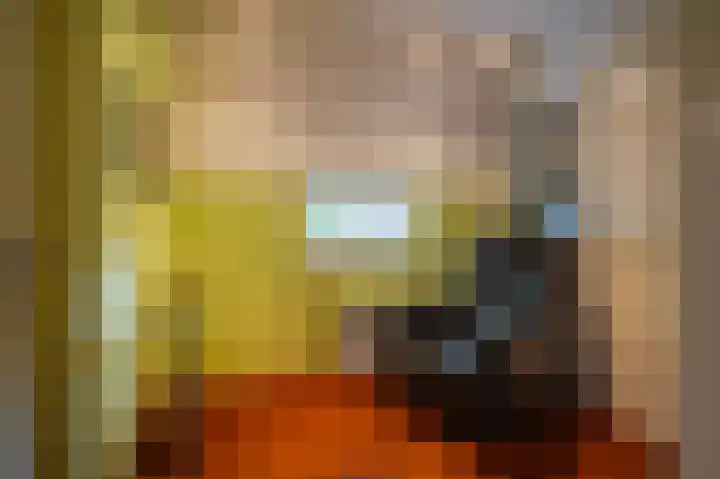 IJsvogel 65 Lathum thumbnail 18