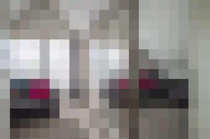 IJsvogel 65 Lathum thumbnail 22