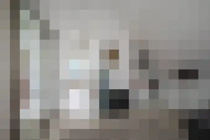 IJsvogel 65 Lathum thumbnail 24