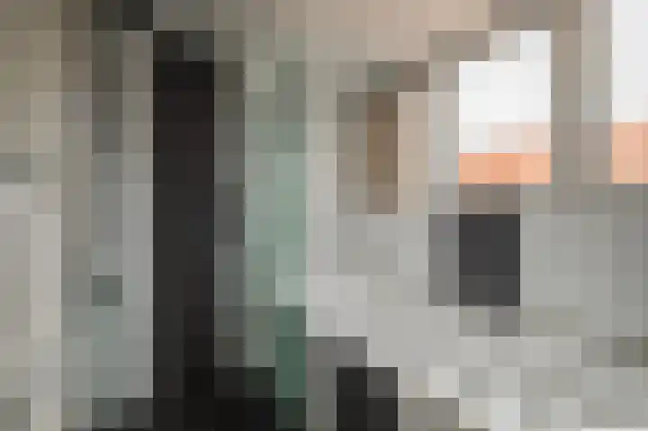 IJsvogel 65 Lathum thumbnail 25