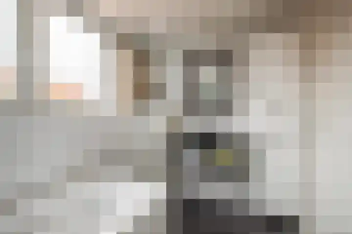 IJsvogel 65 Lathum thumbnail 26
