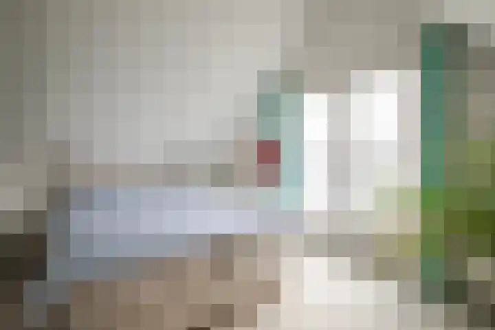 IJsvogel 65 Lathum thumbnail 27