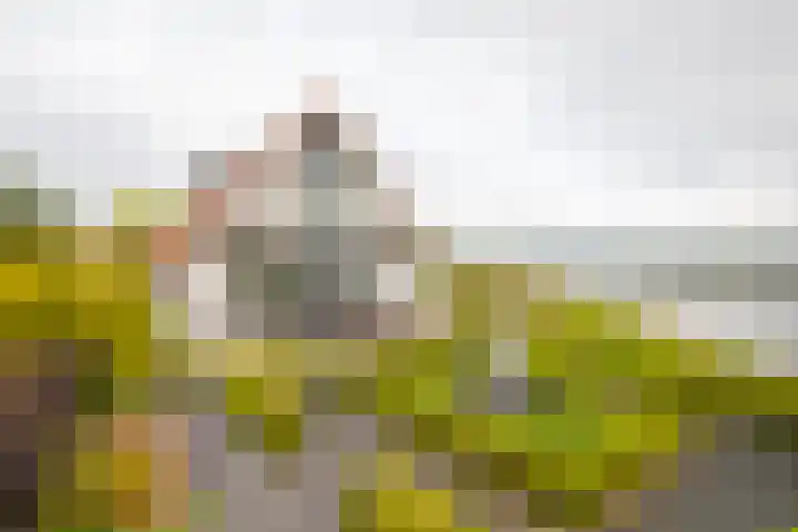 IJsvogel 65 Lathum thumbnail 29