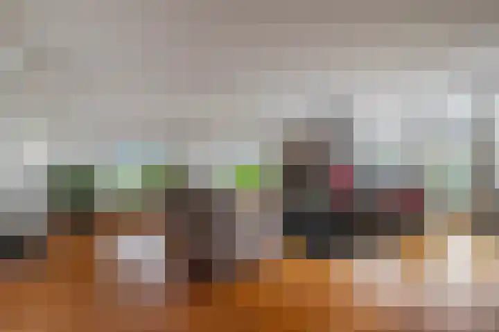 IJsvogel 65 Lathum foto 3