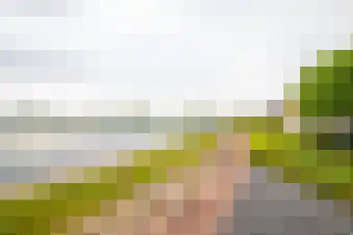 IJsvogel 65 Lathum thumbnail 30