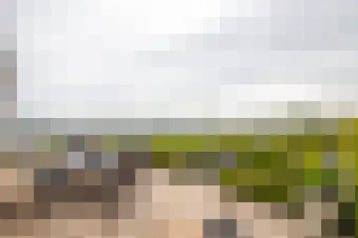 IJsvogel 65 Lathum thumbnail 31
