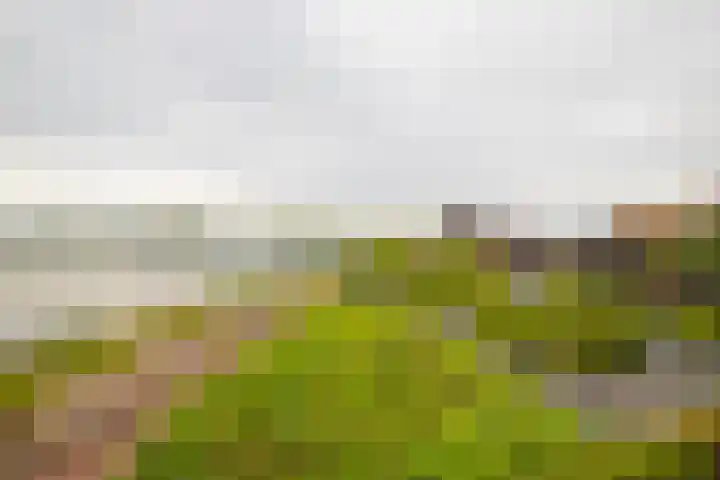 IJsvogel 65 Lathum thumbnail 33