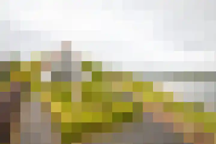 IJsvogel 65 Lathum thumbnail 34